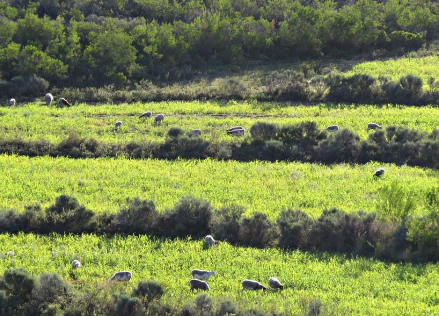 3 Bedroom Property for Sale in Joubertina Eastern Cape